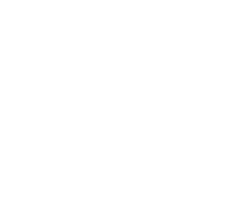 Vanessa Valdez Logo